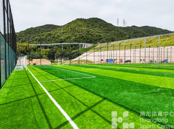 从金角银边到专业球场,浙江8798片绿茵点亮足球梦(图3) 从金角银边到专业球场,浙江8798片绿茵点亮足球梦(图3)