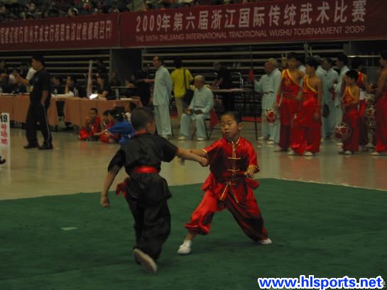 展示国粹魅力 弘扬中华武术(图1)