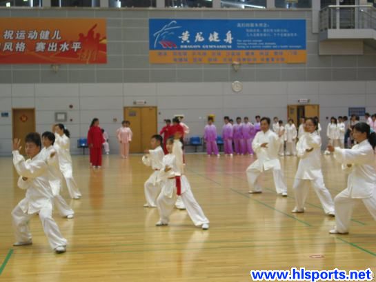 展示国粹魅力 弘扬中华武术(图4)