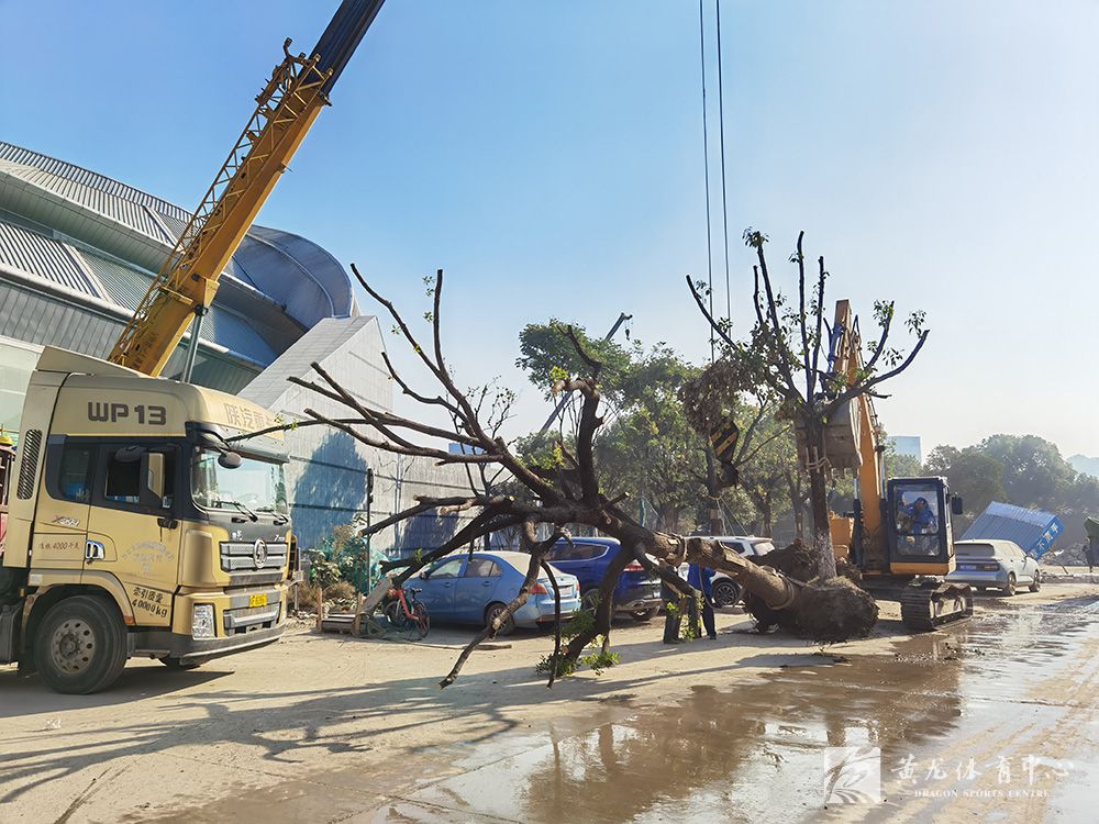 黄龙体育中心亚运改造(11.11)(图7)