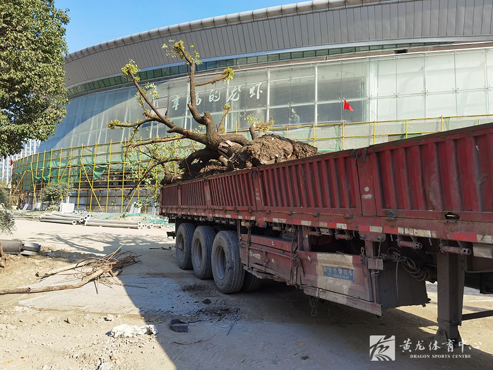 黄龙体育中心亚运改造(11.11)(图8)