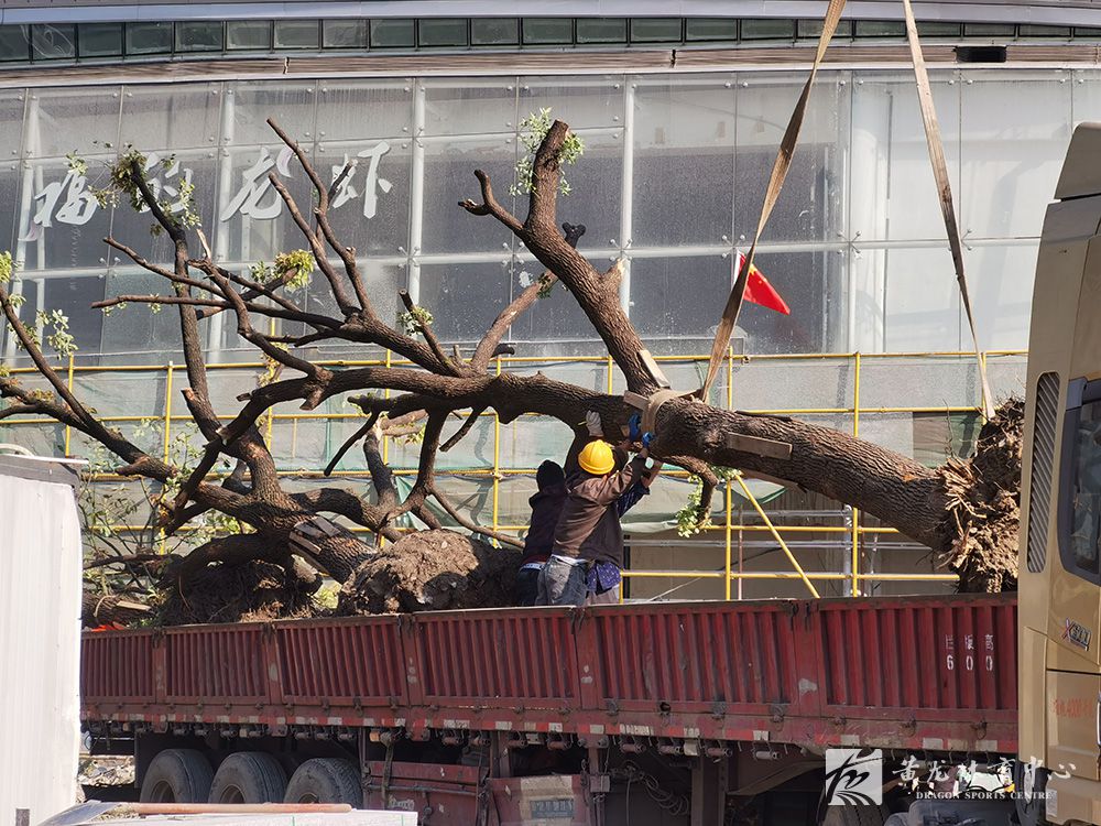 黄龙体育中心亚运改造(11.11)(图30)