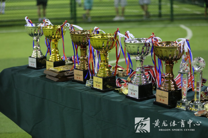 西溪杯足球赛成人组在黄龙体育中心圆满落幕(图3) 西溪杯足球赛成人组在黄龙体育中心圆满落幕(图3)