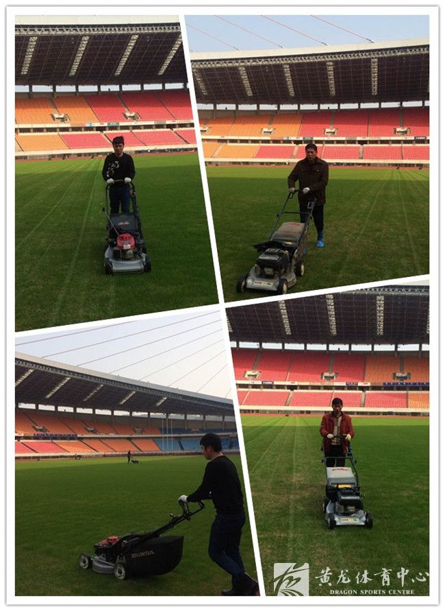 新年第一剪，场馆经营部做好体育场草坪养护工作(图1)