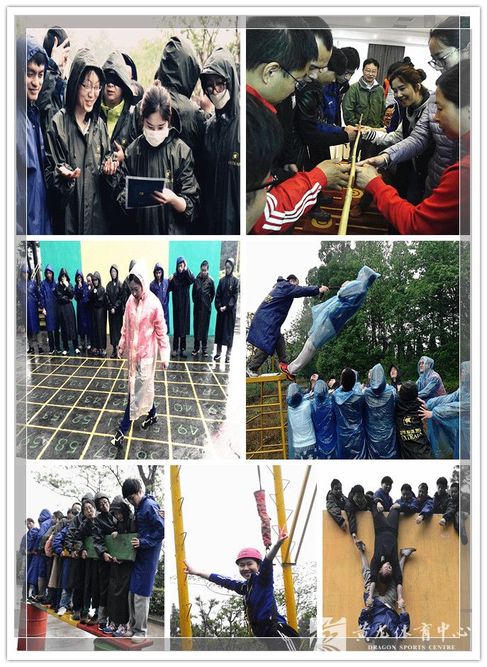  举办团队拓展培训  提升公司整体素质(图1)