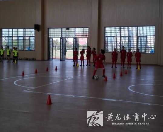 “黄龙足球种子计划”开展试点调研(图3)