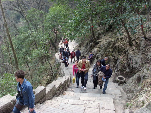 和煦春风  放飞心情(图2)