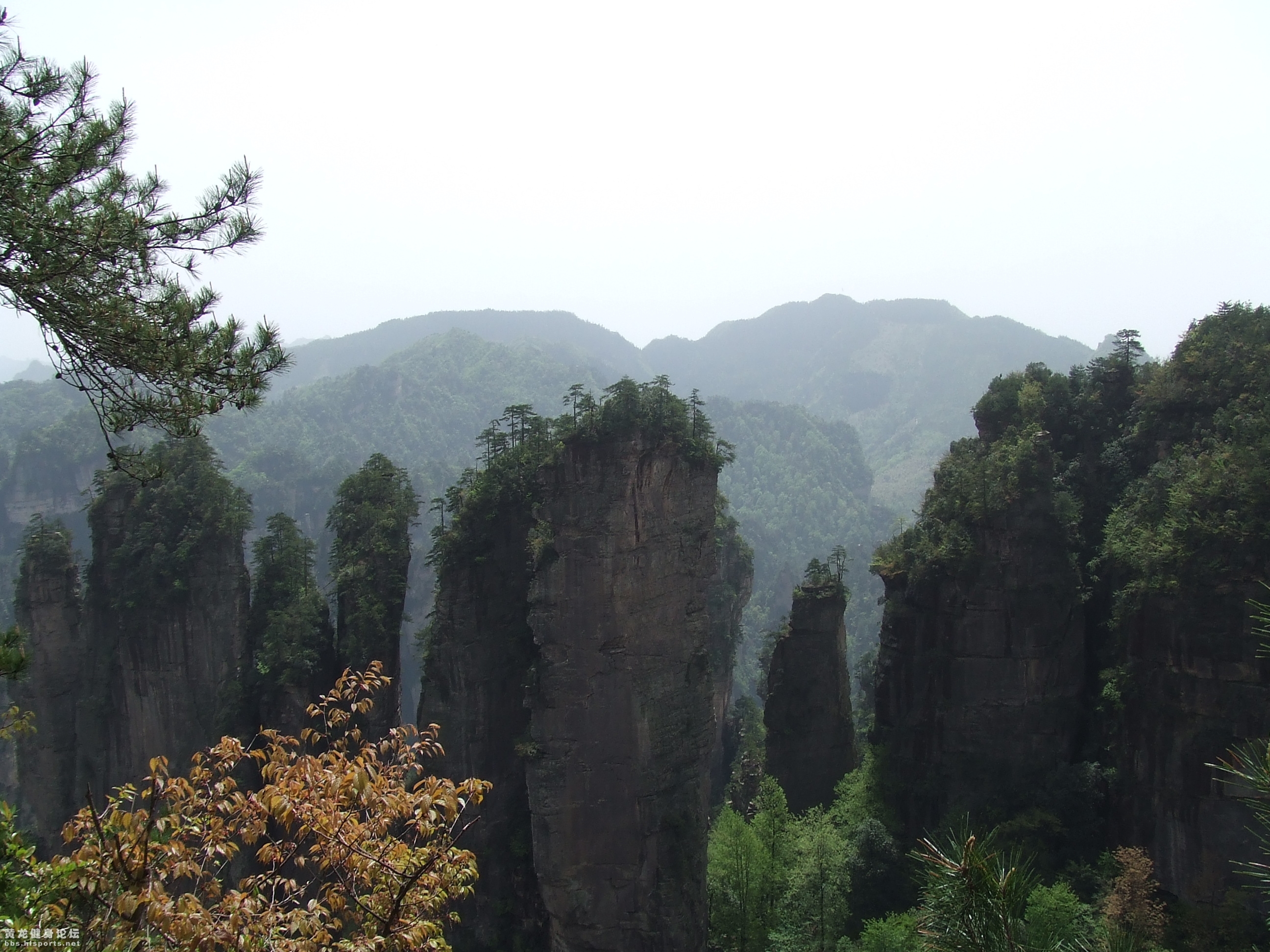 工会组织职工赴张家界疗养(图3) 工会组织职工赴张家界疗养(图3)