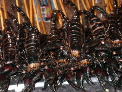 中华名小吃展在黄龙体育中心掀起了“锅盖”(图3)