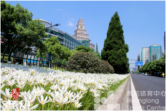 亚运场馆周边大变样！快来黄龙体育中心体验“最后一公里”——(图4)
