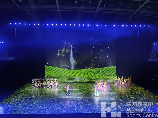 浙江省第七届民族传统体育运动会开幕！(图5)