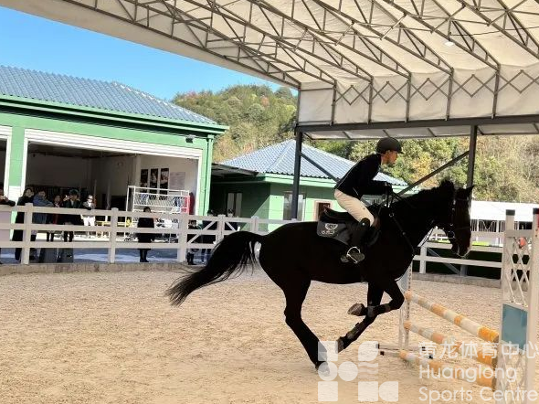 绍兴首次！马术比赛进校园(图2)