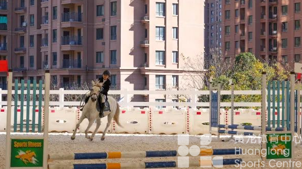 绍兴首次！马术比赛进校园(图3)