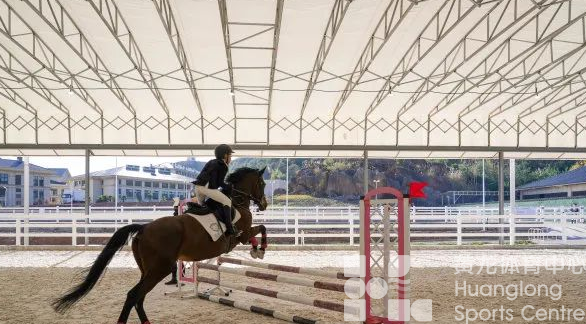 绍兴首次！马术比赛进校园(图5)