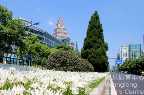 高颜值亚运场馆为核心——黄龙亚运示范区上榜省级“高品质示范街区”!(图5) 高颜值亚运场馆为核心——黄龙亚运示范区上榜省级“高品质示范街区”!(图5)