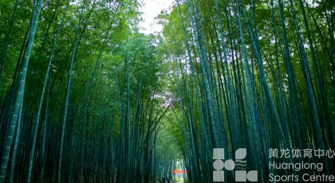 美丽西湖——每逢佳节胖三斤？来黄龙，春节锻炼不能停！(图9)