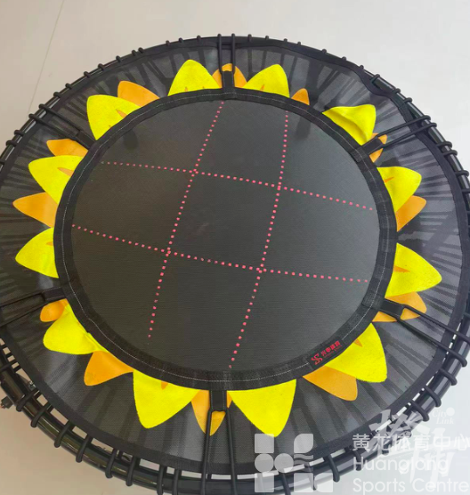 最近超火的小蹦床运动村级推广基地在杭州，国家蹦床队队员玩到停不下来！(图4)