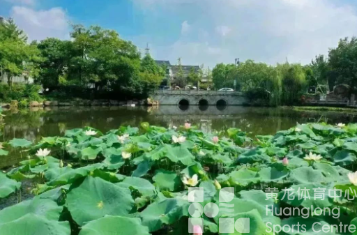 “抓住亚运契机 打造全省赛事强区”获评“2022年度优秀代表议案建议”(图4)