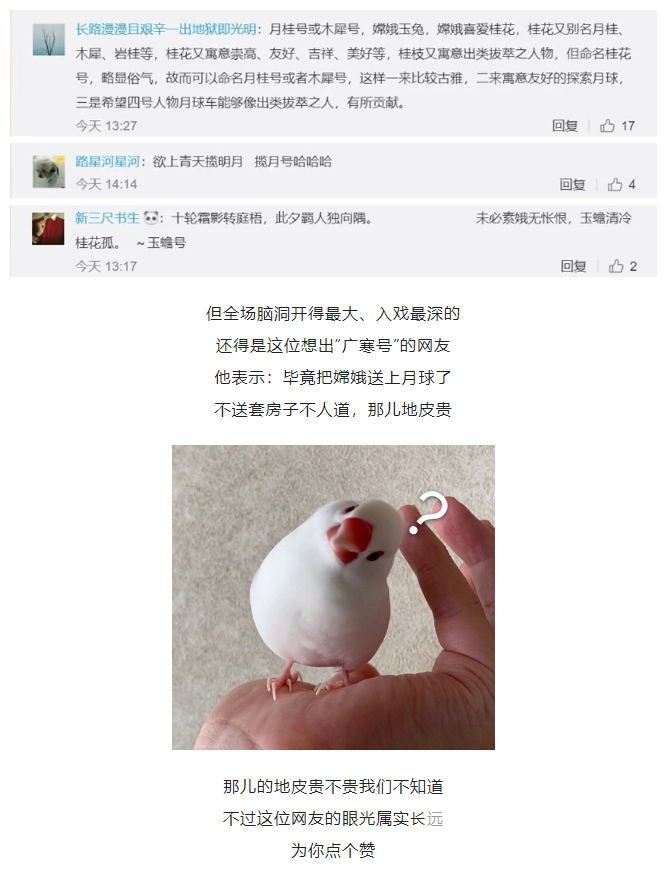 一“名”惊人 | 每一次征名活动，总有人脑洞开出天际(图10)