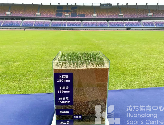 蓄力整个冬天的绿，等超级杯来“燃场”(图4)