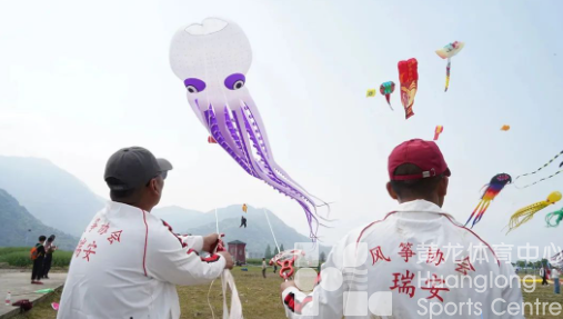 瑞安百鸢齐飞，上演空中“筝”斗(图1)