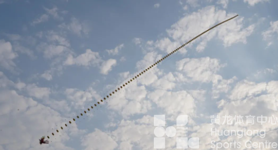 瑞安百鸢齐飞，上演空中“筝”斗(图2)