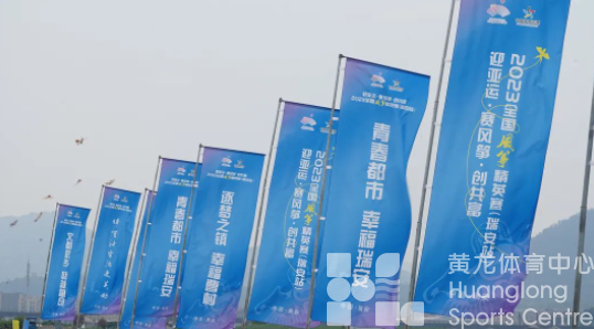 瑞安百鸢齐飞，上演空中“筝”斗(图3)