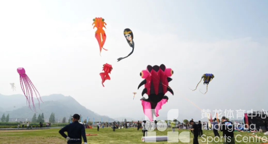 瑞安百鸢齐飞，上演空中“筝”斗(图4)