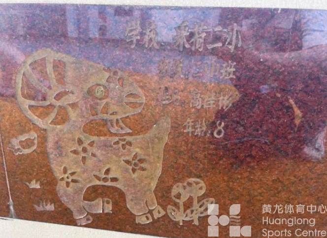 浙江日报——亚运倒计时50天，黄龙讲个故事给你听~(图4)