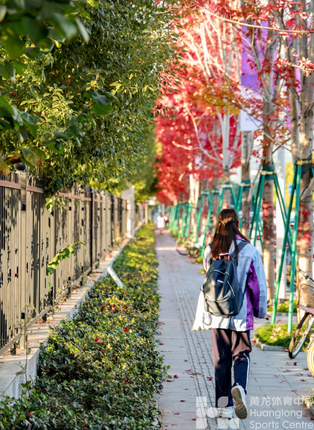快来打卡！后亚运的黄龙有赛事、有活动，还有限定秋色...(图6)