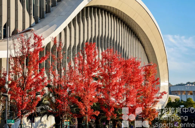 快来打卡！后亚运的黄龙有赛事、有活动，还有限定秋色...(图7)