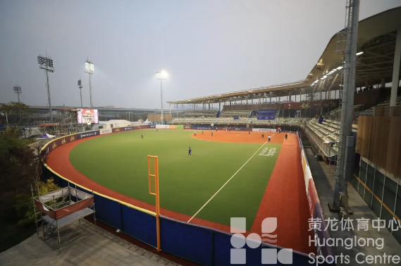 浙江棒垒球蓄风积势化风而行(图2)