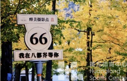 双十一，去长兴赴一场绿色、健康的生态之旅(图3)