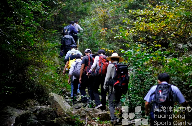 连续三年增长！2022年我省体育产业总产出4648亿元(图2)