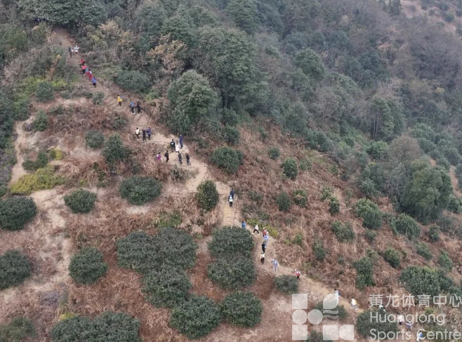 地方动态 | 第一周,1800000人次!(图3) 地方动态 | 第一周,1800000人次!(图3)