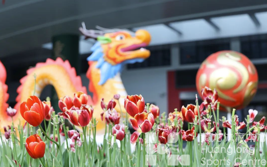 又双叒叕获奖！春天来黄龙打卡，赢取惊喜好礼(图4)