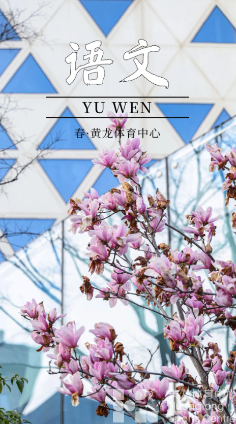 又双叒叕获奖！春天来黄龙打卡，赢取惊喜好礼(图7)