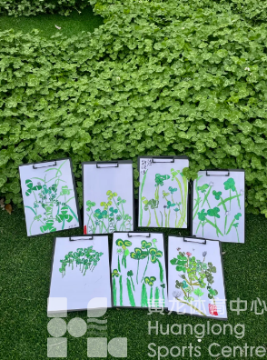 春日黄龙=国乐之美+运动之乐，小朋友们都玩“嗨”了(图5)