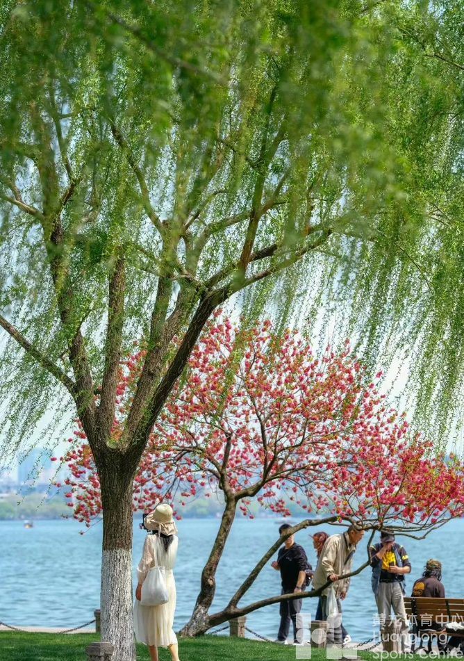 晨骑、夜骑、落日骑，这份“费腿”攻略收好→(图4)