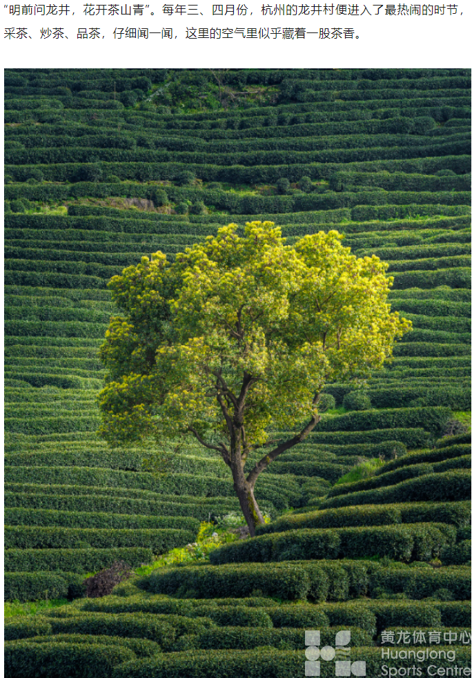 晨骑、夜骑、落日骑，这份“费腿”攻略收好→(图6)