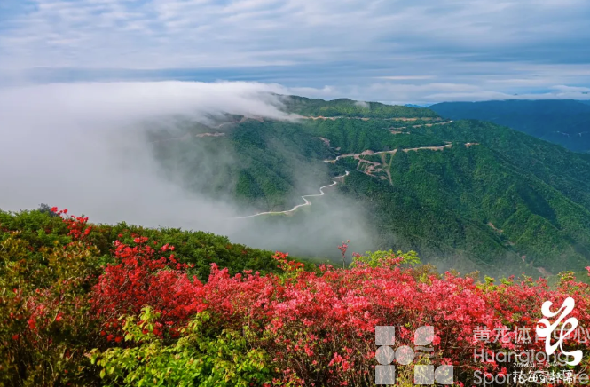 热闹不只景区！赛事里的风景也很美(图8)
