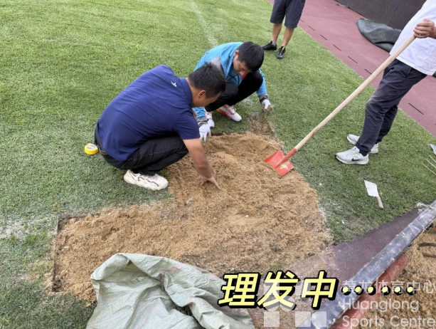 手艺纯熟！黄龙Tony足球场植发记(图2)