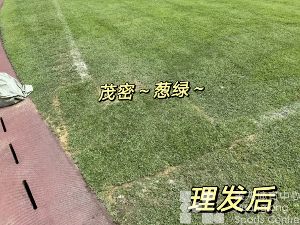 手艺纯熟！黄龙Tony足球场植发记(图3)