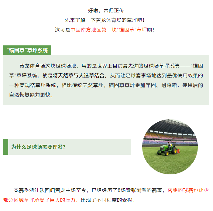 手艺纯熟！黄龙Tony足球场植发记(图4)