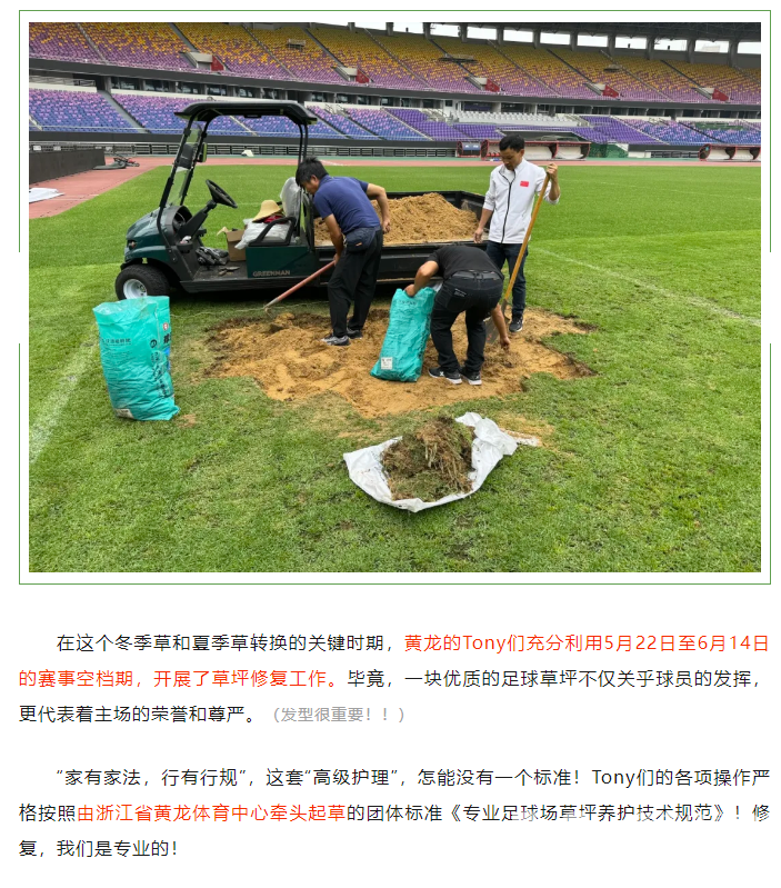 手艺纯熟！黄龙Tony足球场植发记(图5)