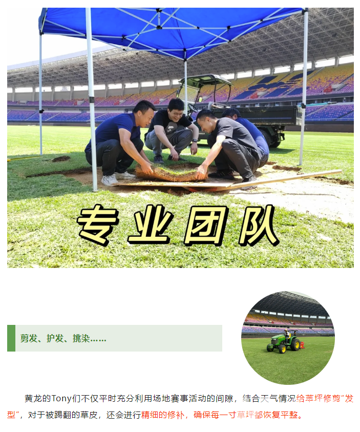 手艺纯熟！黄龙Tony足球场植发记(图6)