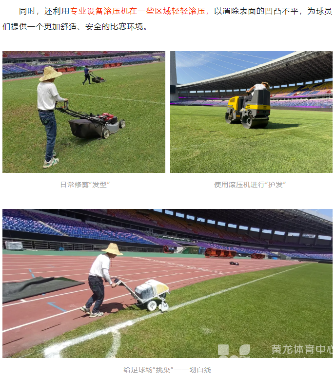 手艺纯熟！黄龙Tony足球场植发记(图7)