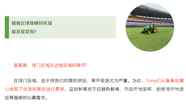 手艺纯熟！黄龙Tony足球场植发记(图8)