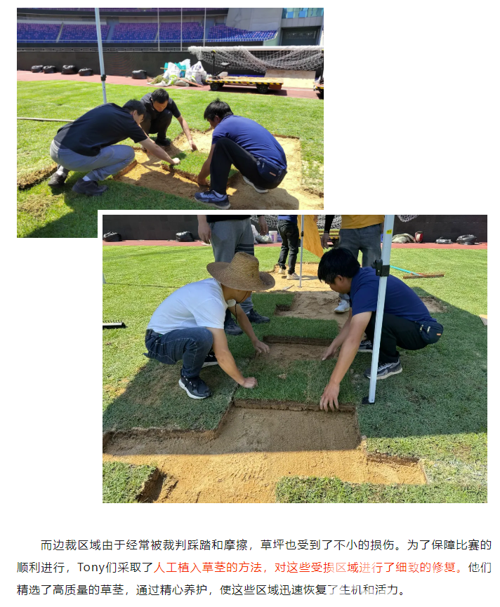 手艺纯熟！黄龙Tony足球场植发记(图9)