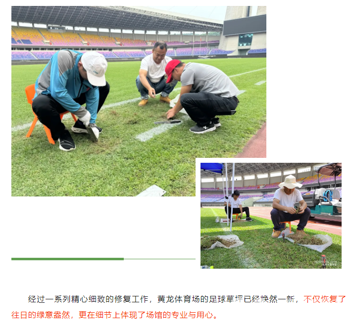 手艺纯熟！黄龙Tony足球场植发记(图10)